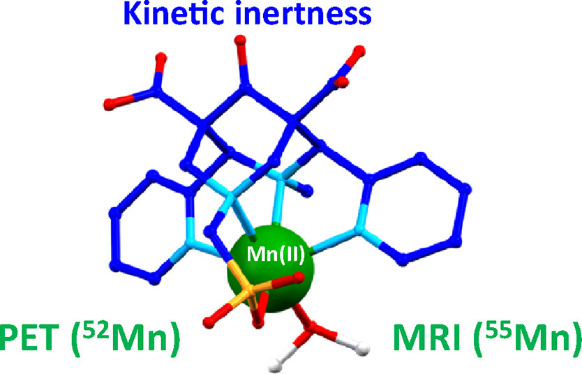 bhkenlo's tweet photo. 55/52Mn2+ Complexes with a Bispidine-Phosphonate Ligand: High Kinetic Inertness for Imaging Applications https://t.co/3kZ5GYSRUf Charbonnière, Tóth, Nonat, and co-workers @InorgChem #manganese #divalent #bispidine #phosphonate #MRI #PET #imaging #stability https://t.co/MoFhiuJYyS