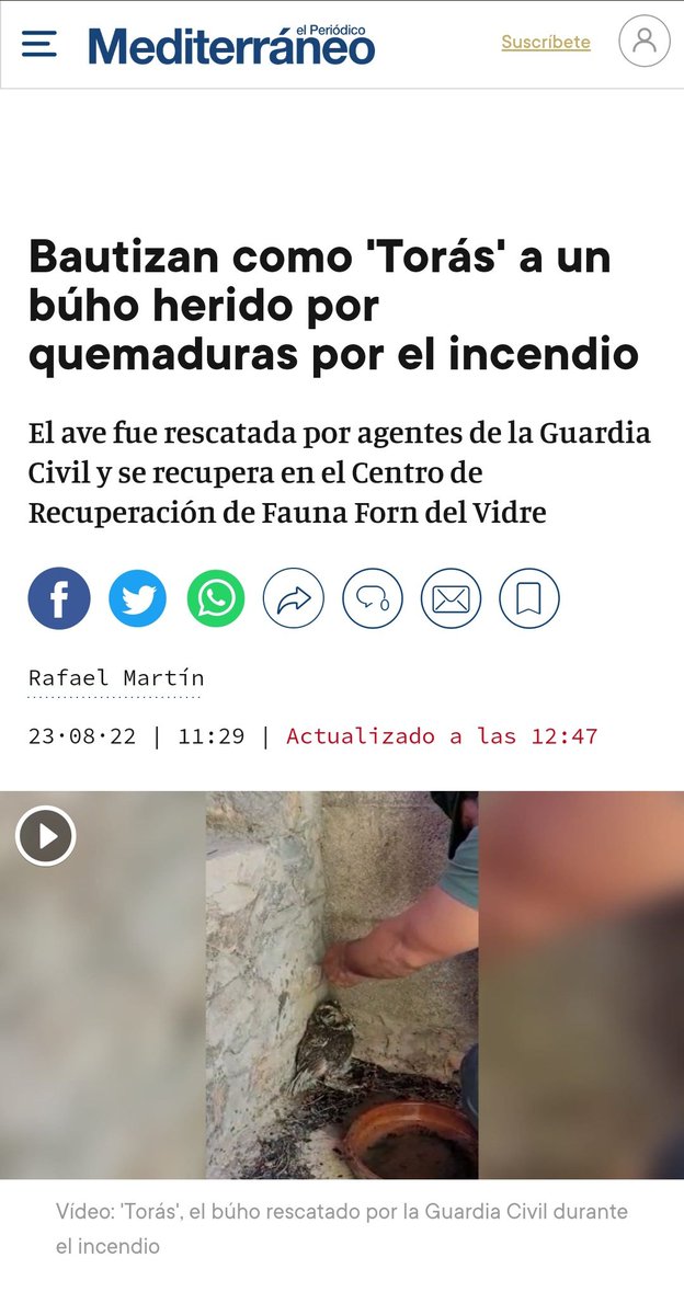 Torasisimo's tweet photo. Bautizado un búho🦉 herido por el #IFtoras como Torás ya que ha sido encontrado🔎 en nuestro pueblo🏡. #toras
https://t.co/LzHdk0Lbhw https://t.co/DQQg7c4P9b