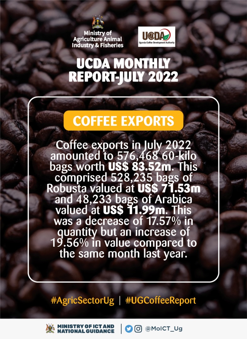 Dianpro15's tweet photo. Arabica coffee has the on-year cycle characteristic that boosts production over robusta in yield production.#UGCoffeeReport
#AgricSectorUg @UCF_UG @CoffeeUganda @MAAIF_Uganda @azawedde @MosesWatasa https://t.co/PYplqtK7uZ