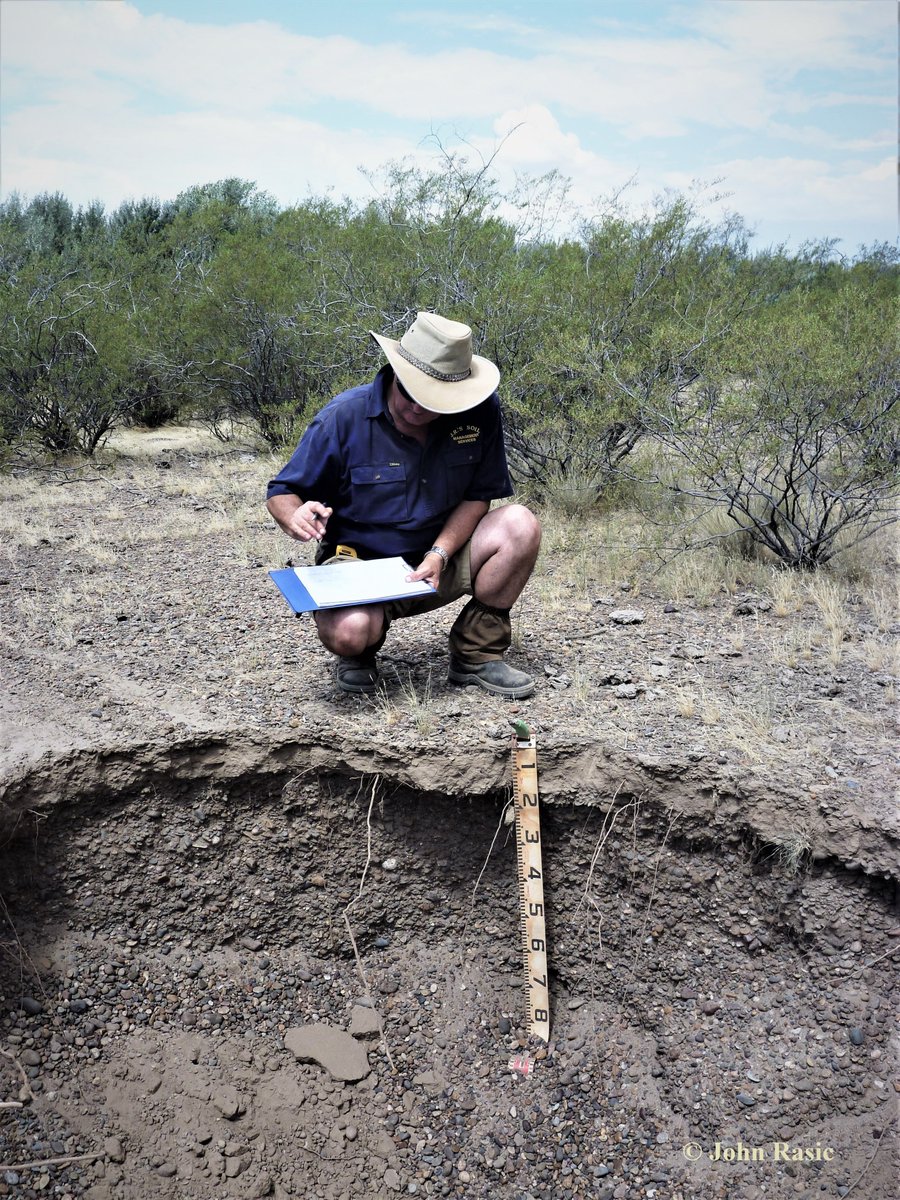 JohnRasic14's tweet photo. Soil profile never lies, and you know nothing about the soil, its management and use unless you dig and find out. Yet, the gross majority of the global land is being managed by those that have no idea what's below their feet.  #jirasic #terravadis #savesoil #consciousplanet https://t.co/v13EWlykGj