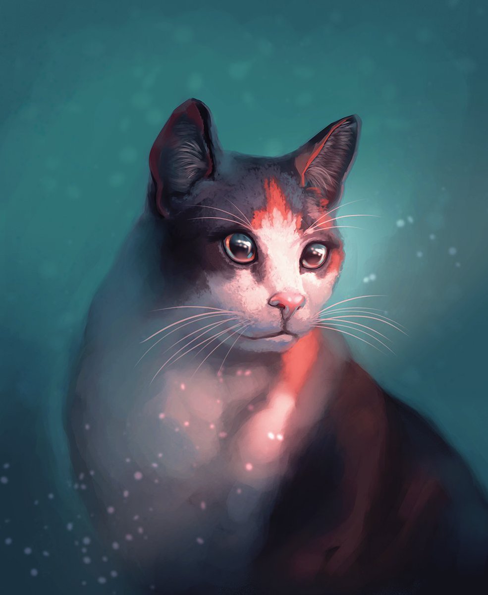 have an in-between-pieces kitty