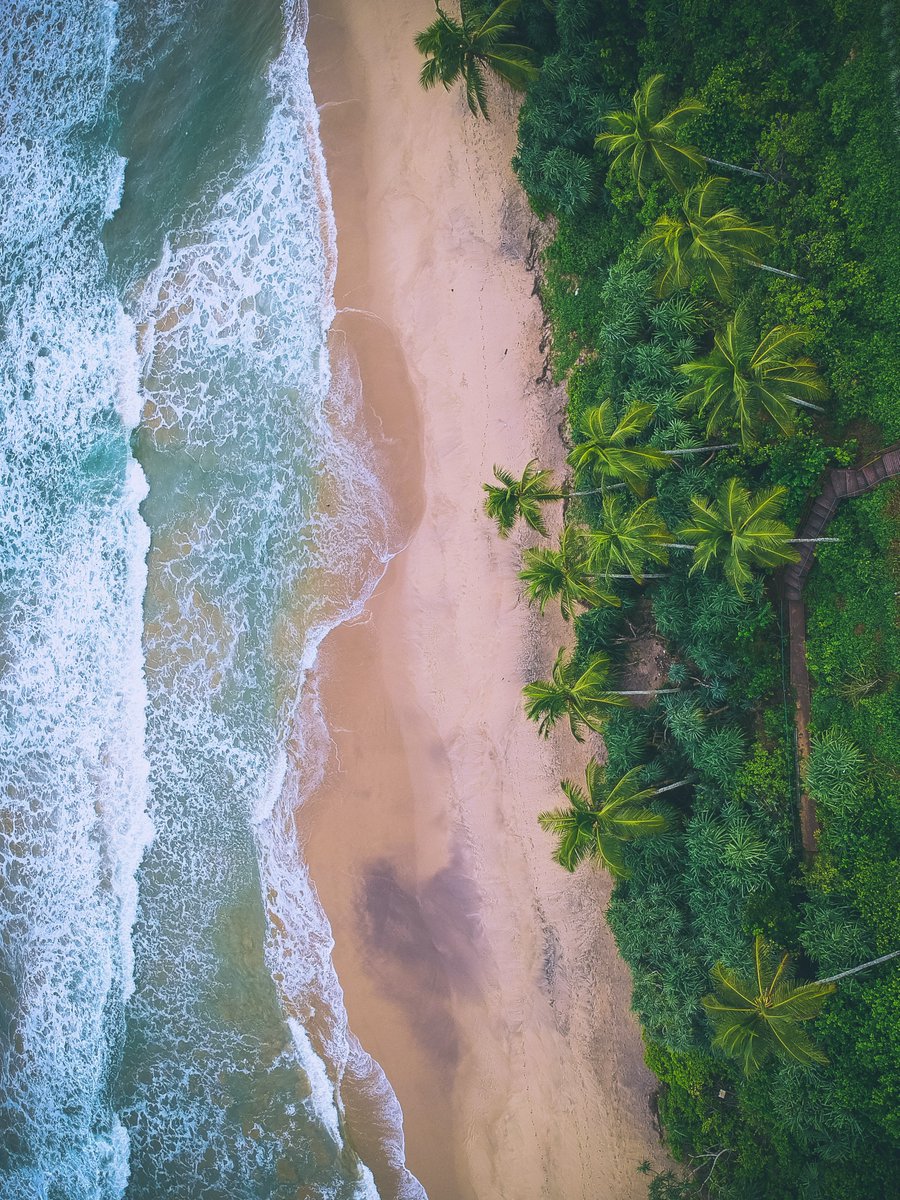 Sri Lanka Immigration tweet media