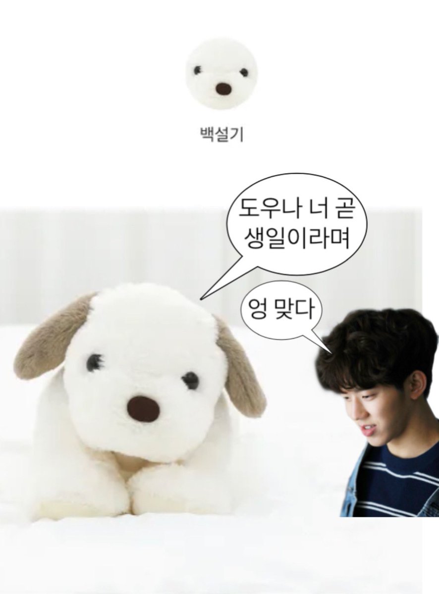 세계최고개짱천재강아지드러머 도운이의 스물여덟 번째 생일을 기념하여 #RT 추첨 한 분께 도운이를 닮은 강아지 인형을 보내드립니다 ♡

당첨자는 생일 다음날에 발표합니다 🥁
(국내 거주자 한정, 비계 참여 불가)