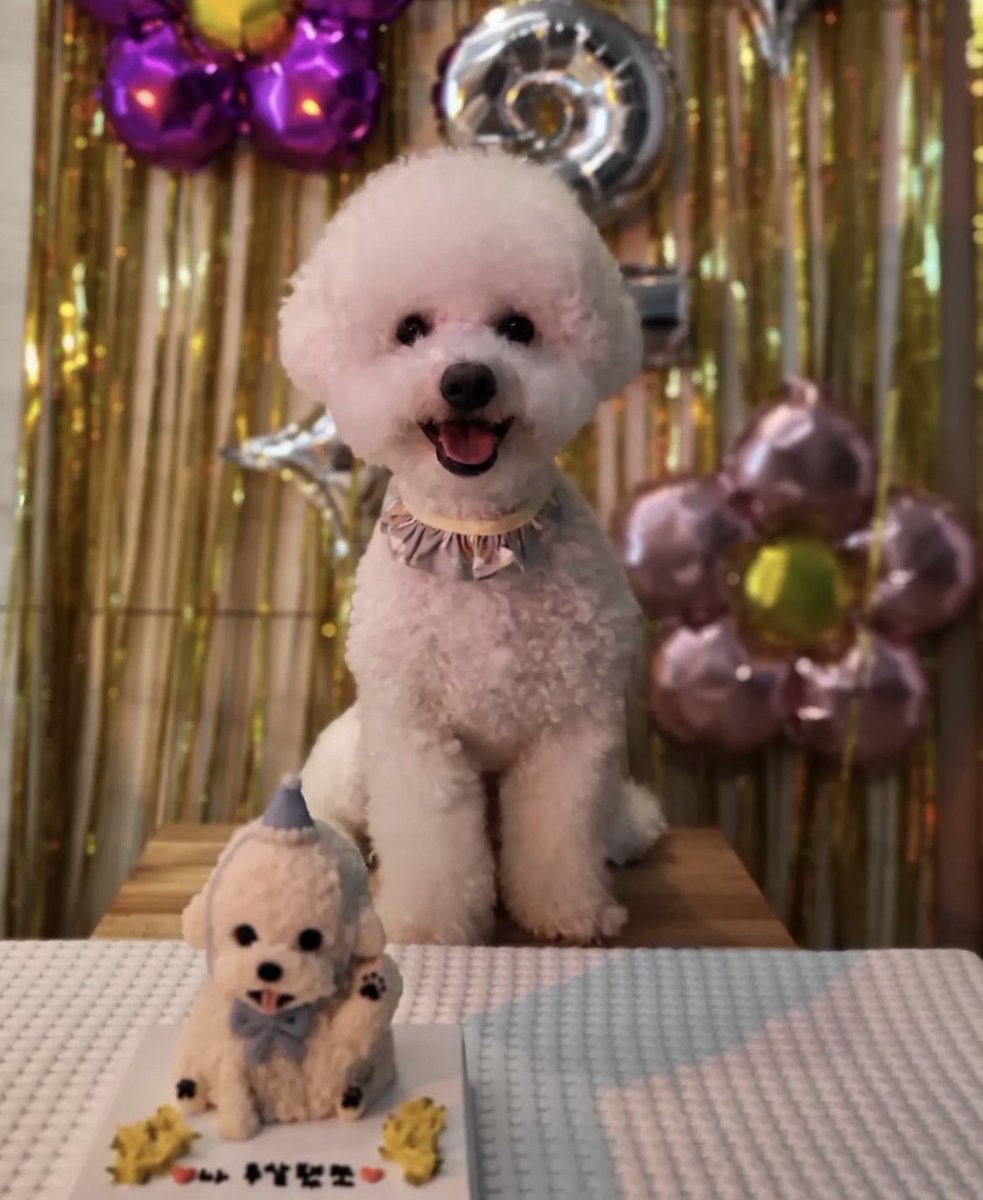 bj6vup's tweet photo. @1theK @IVEstarship #아이브_애프터짤파티 유진이 아쪼표정 해주세요~ https://t.co/qWWNPxWNwV