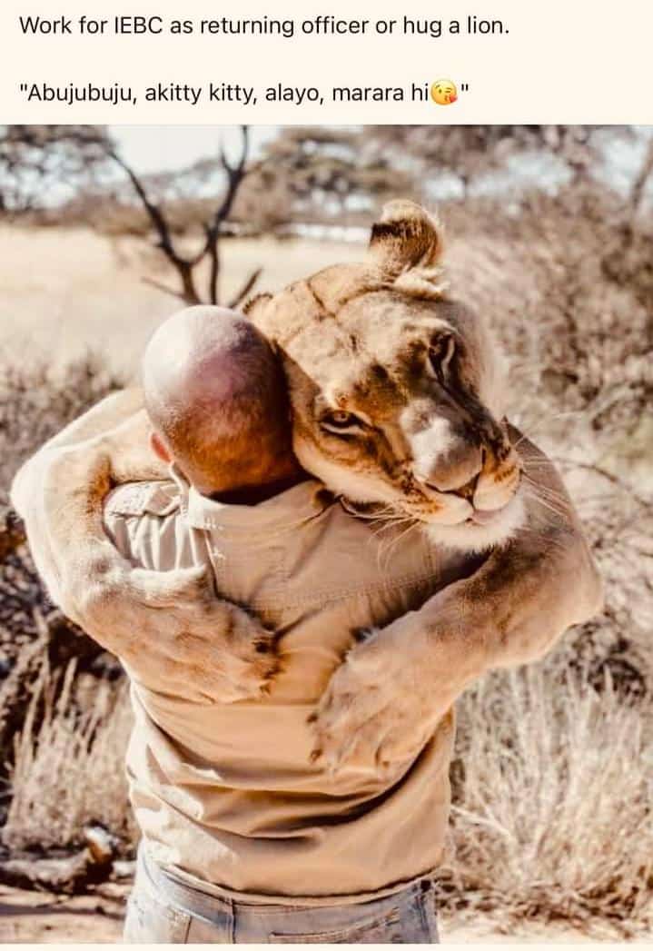 ngetich_g's tweet photo. Killing of ROs is now at an alarming rate.... This means engaging in iebc jobs is a threat to ones life, it's even better to hug a lion. Abujubuju marara
#Elections2022 
#ElectionsKE2022 https://t.co/LEDipSG45Y