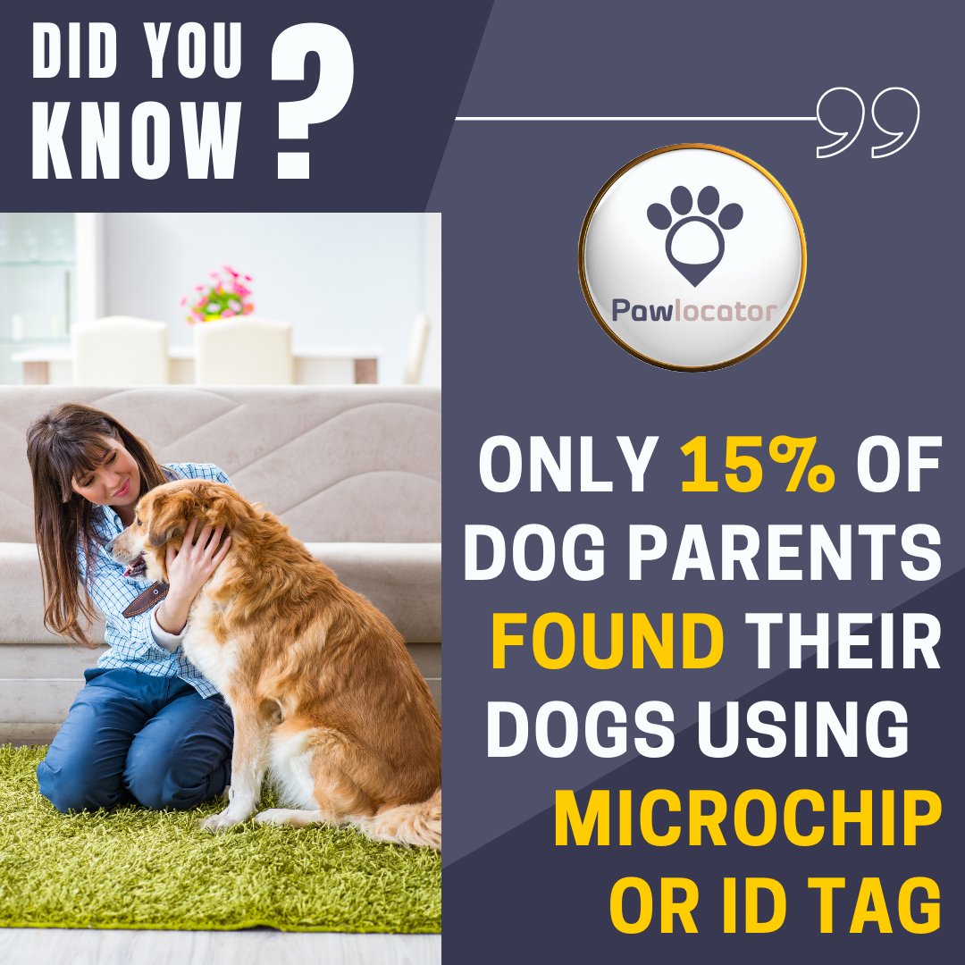 pawlocator's tweet photo. #adorablefosters #cuteanimalplus #petgrooming #petshop #dogwalker #dog #lovescats #adoptme #instadog #dogs #rescuedog #naturaltreats #dogproducts #cats #plainview #gps #doginspo #pets #naturalproducts #mineola #rockvillecentre #catoftheday https://t.co/MVRHUeUg8x