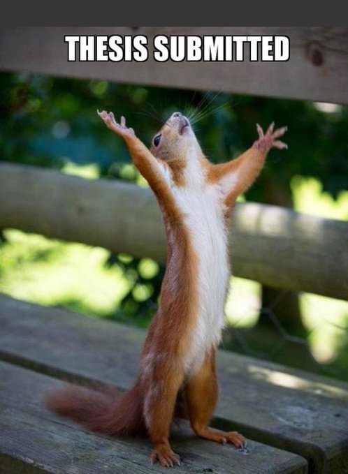 Dr. Archisaurus tweet media