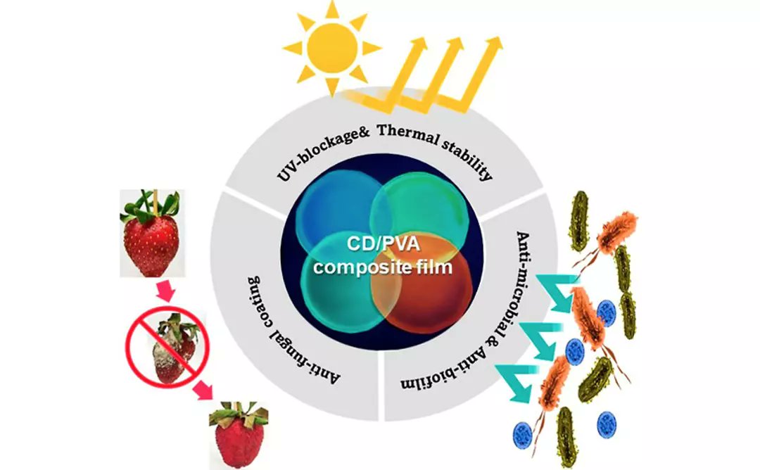 One of the SUNUM part-time researchers, Assoc. Dr. Rükan Genç Altürk's studies on edible and UV protective coatings to extend the shelf life of perishable foods were published in American Chemical Society Omega 2022.

For further details and the article:

pubs.acs.org/doi/10.1021/ac…