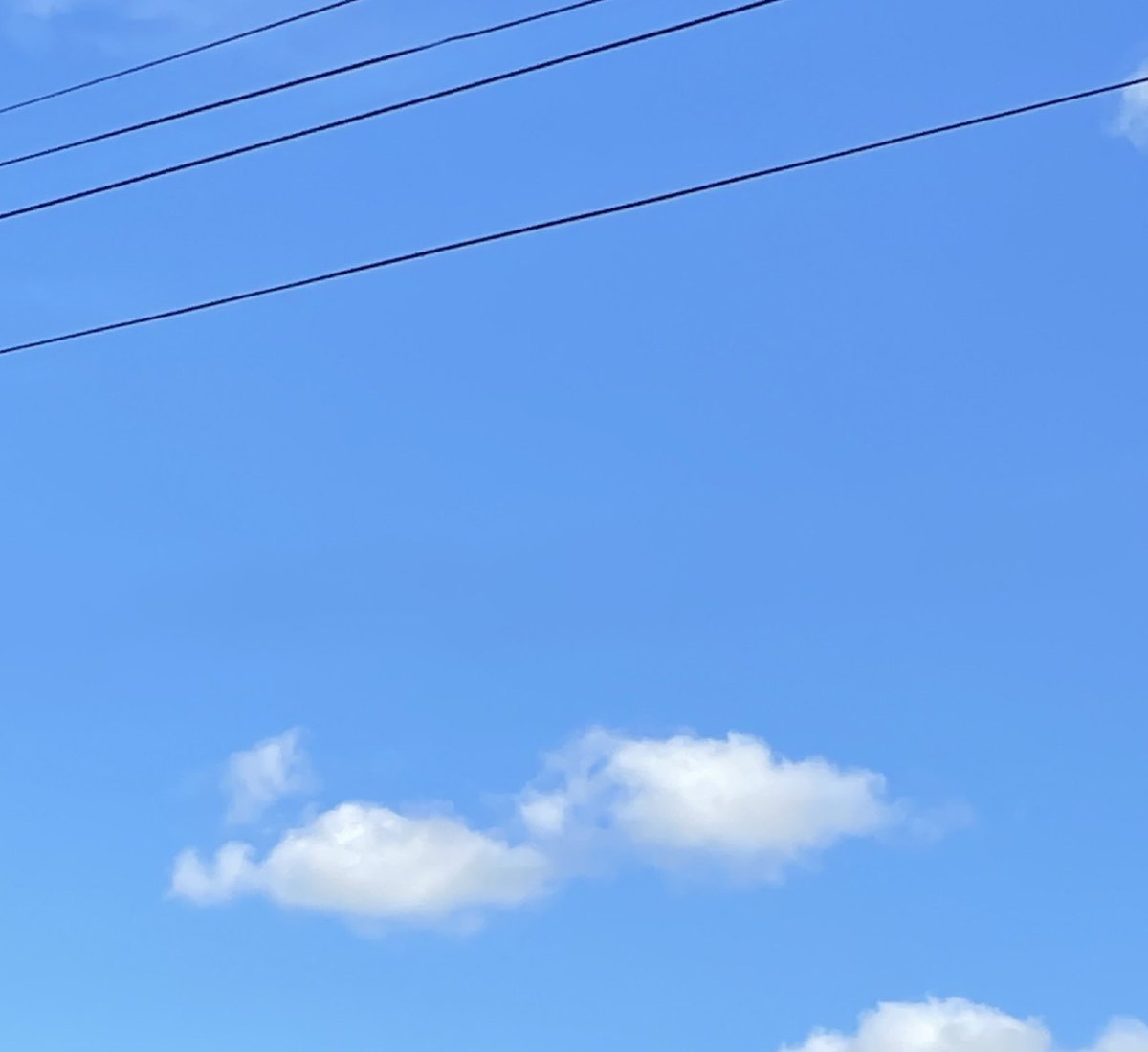 豆子世界 tweet media