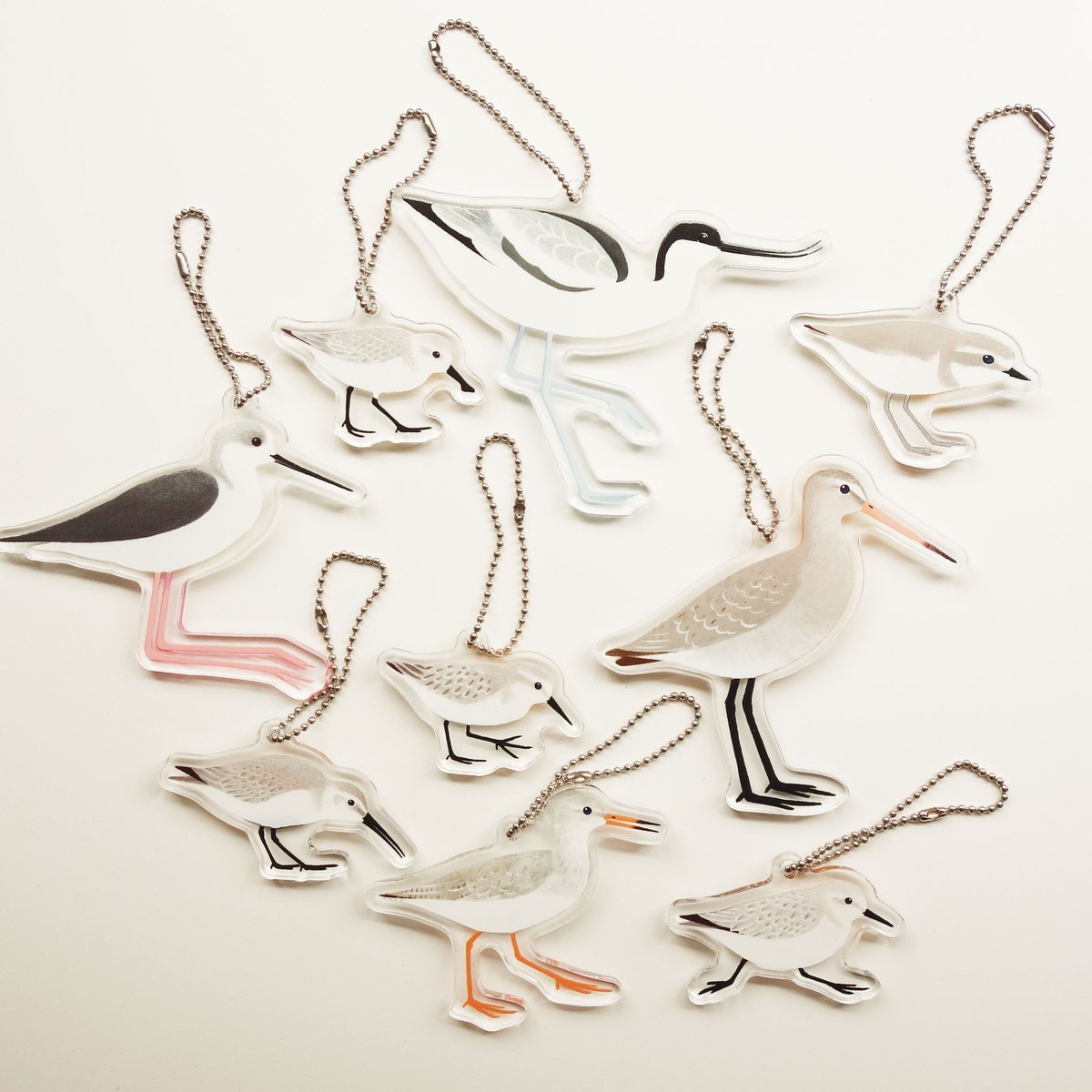 #わくわく野鳥博【商品紹介7】
「シギチドリのアクリルキーホルダー」
ハマシギ・ミユビシギ・トウネン・ヘラシギ・メダイチドリ・アカアシシギ・オグロシギ・セイタカシギ・ソリハシセイタカシギの全9種。
表(左向き)が夏羽、裏(右向き)が冬羽。透かせば換羽中、と1つのアクキーで3種楽しめます! 
