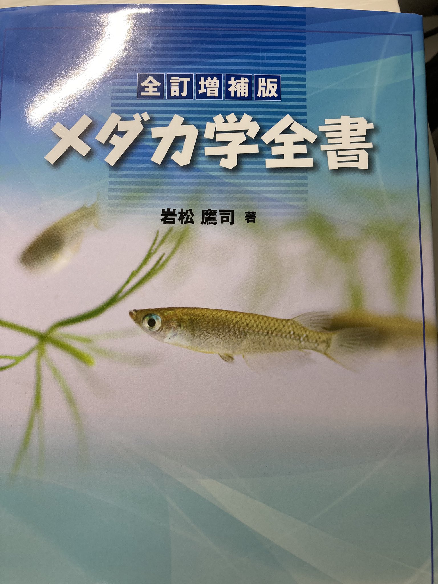 おはようメダカ 今日も今日とてメダカ 研究室の先生からメダカ学全書 頂きましたー 欲しかったけど 高くてなかなか手が出なかった一冊 ありがとうございます メダカ T Co Rcuwlfiuls Twitter
