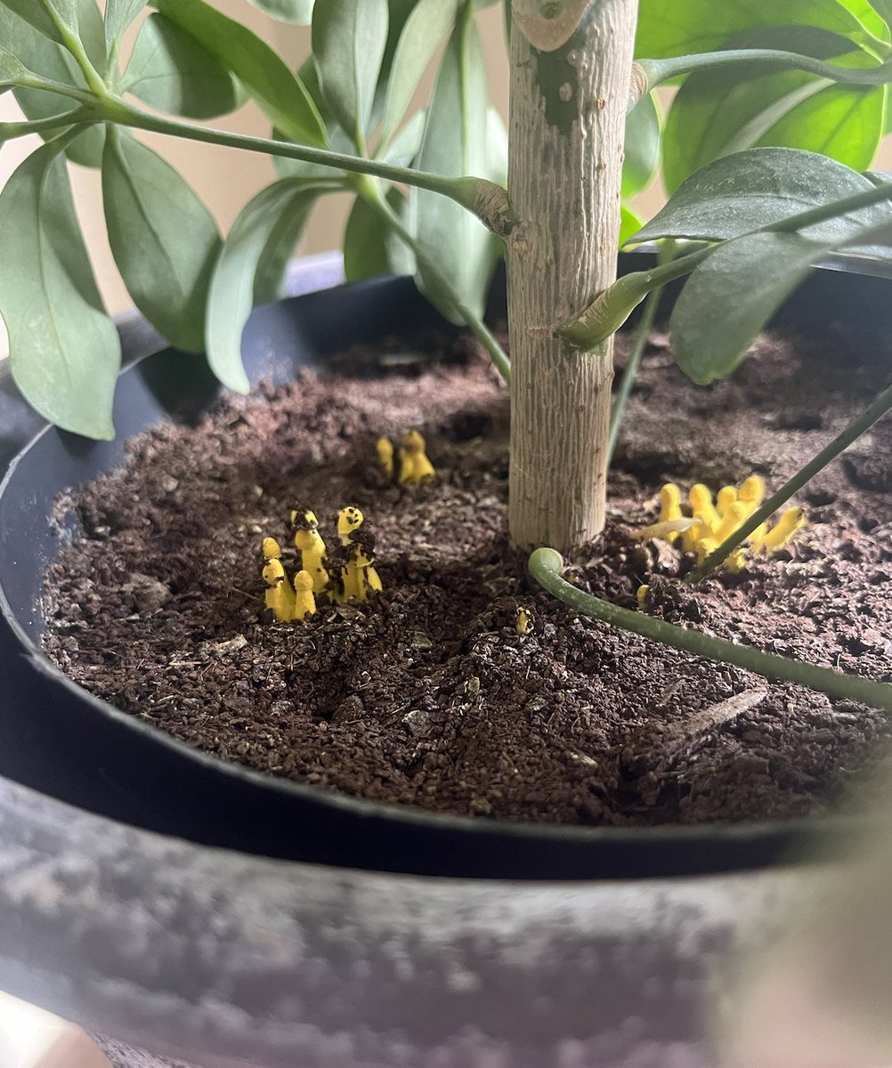 Hunter Jones tweet media