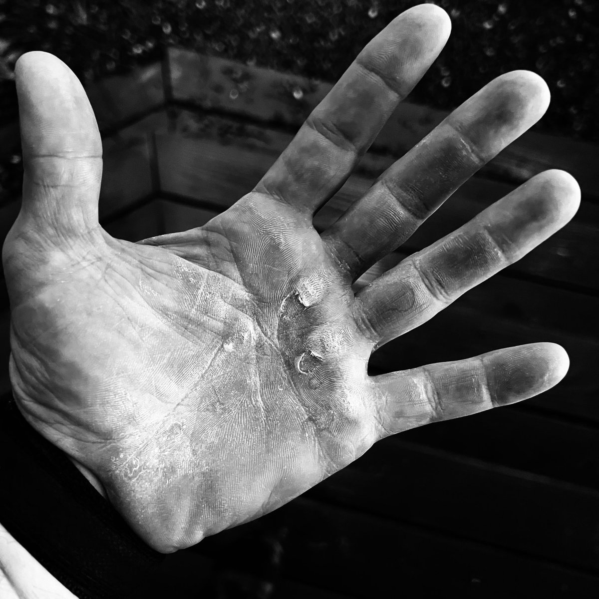 jockowillink's tweet photo. Aftermath. Get a grip. https://t.co/rzz0YqwyLO