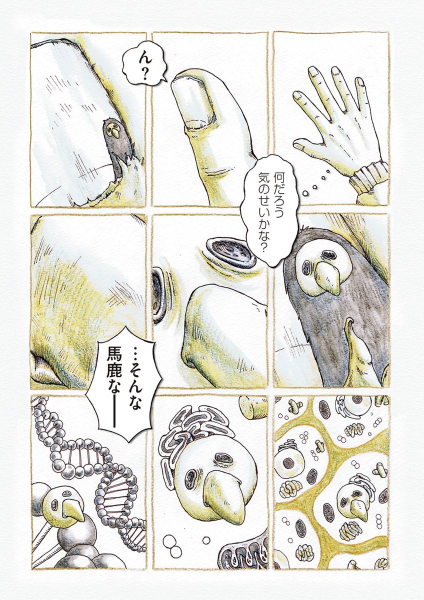 ピーヨって何だろう?(2/2)

#ピーヨ 