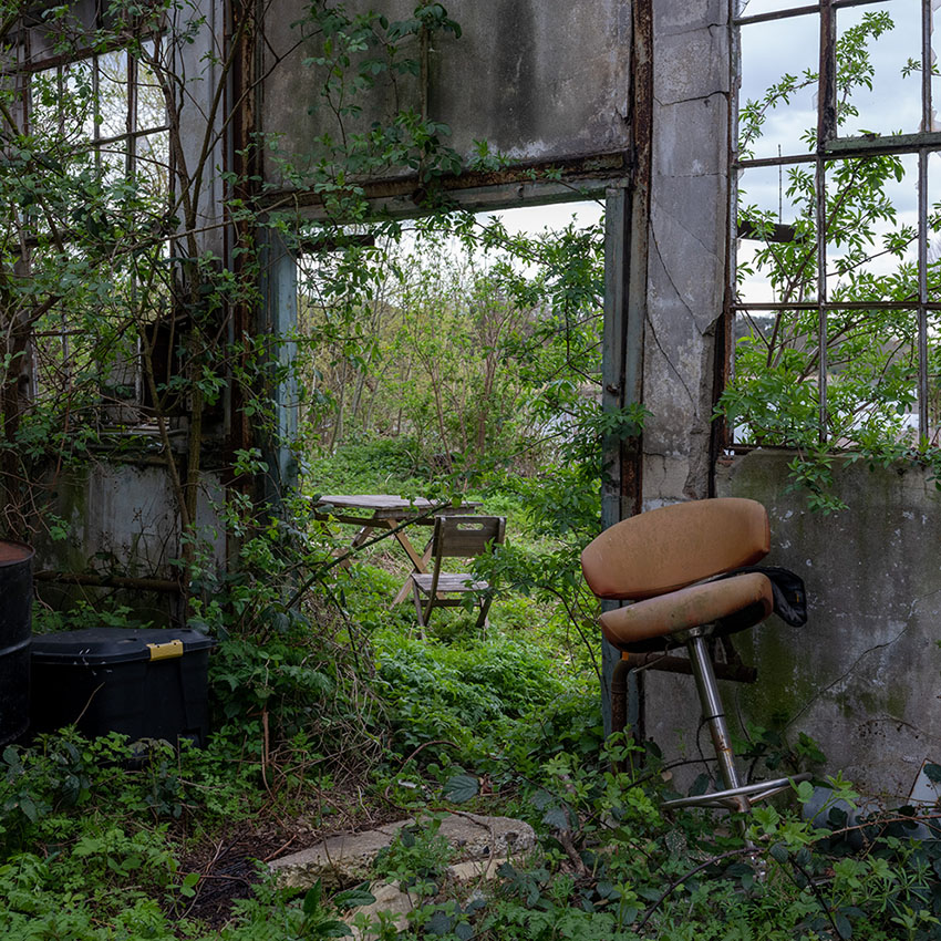 Thames Festival Trust tweet media