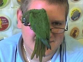 RexysReviews's tweet photo. @jurassicjen_uk Reminds me of my Joey from years ago 😍 https://t.co/3FGdeYmh8U