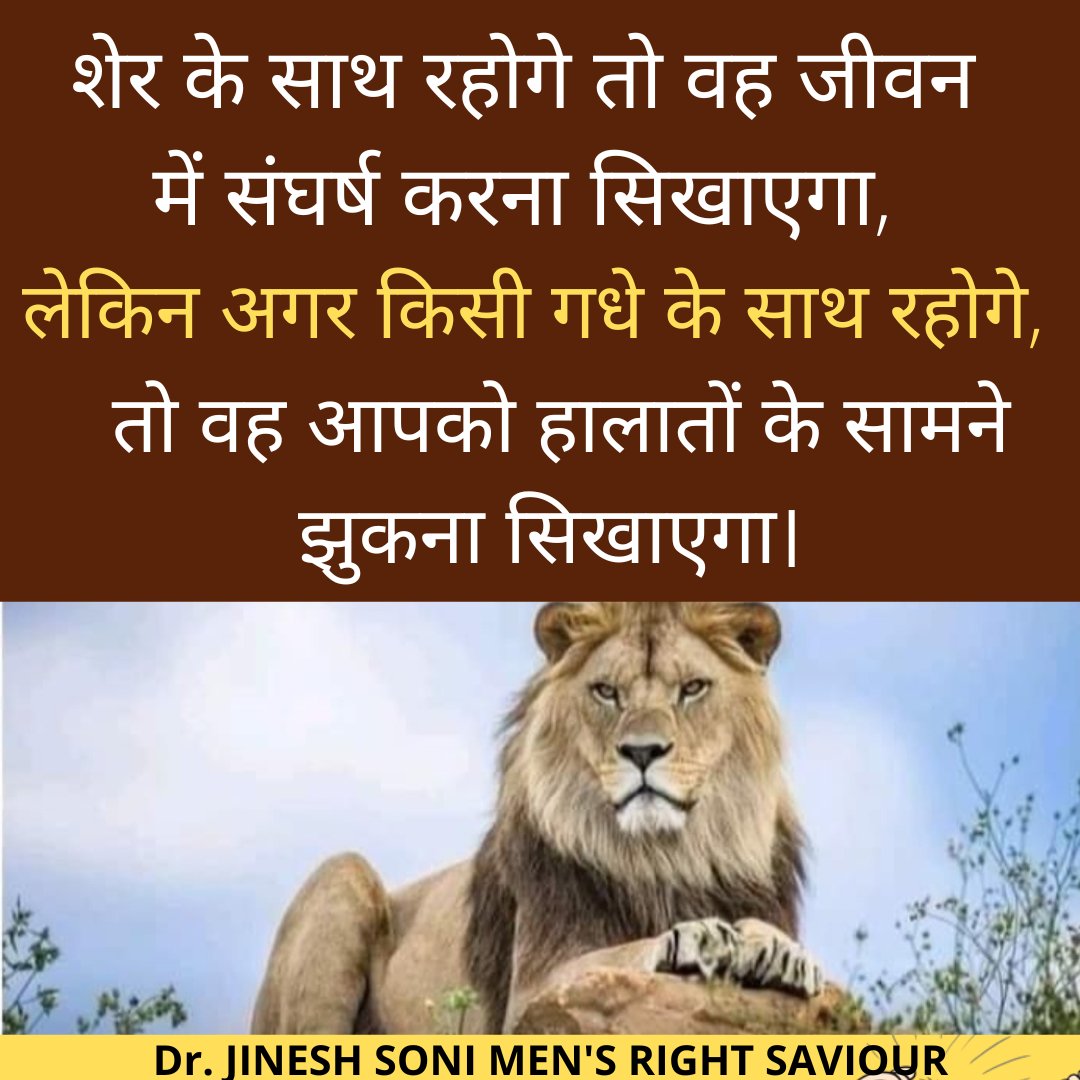 soniarenaajmer's tweet photo. #motivation #winning #success #soniarena #instathought #instaquote #inspiration #history #success #will #effort https://t.co/Yr2ZcdtT5C
