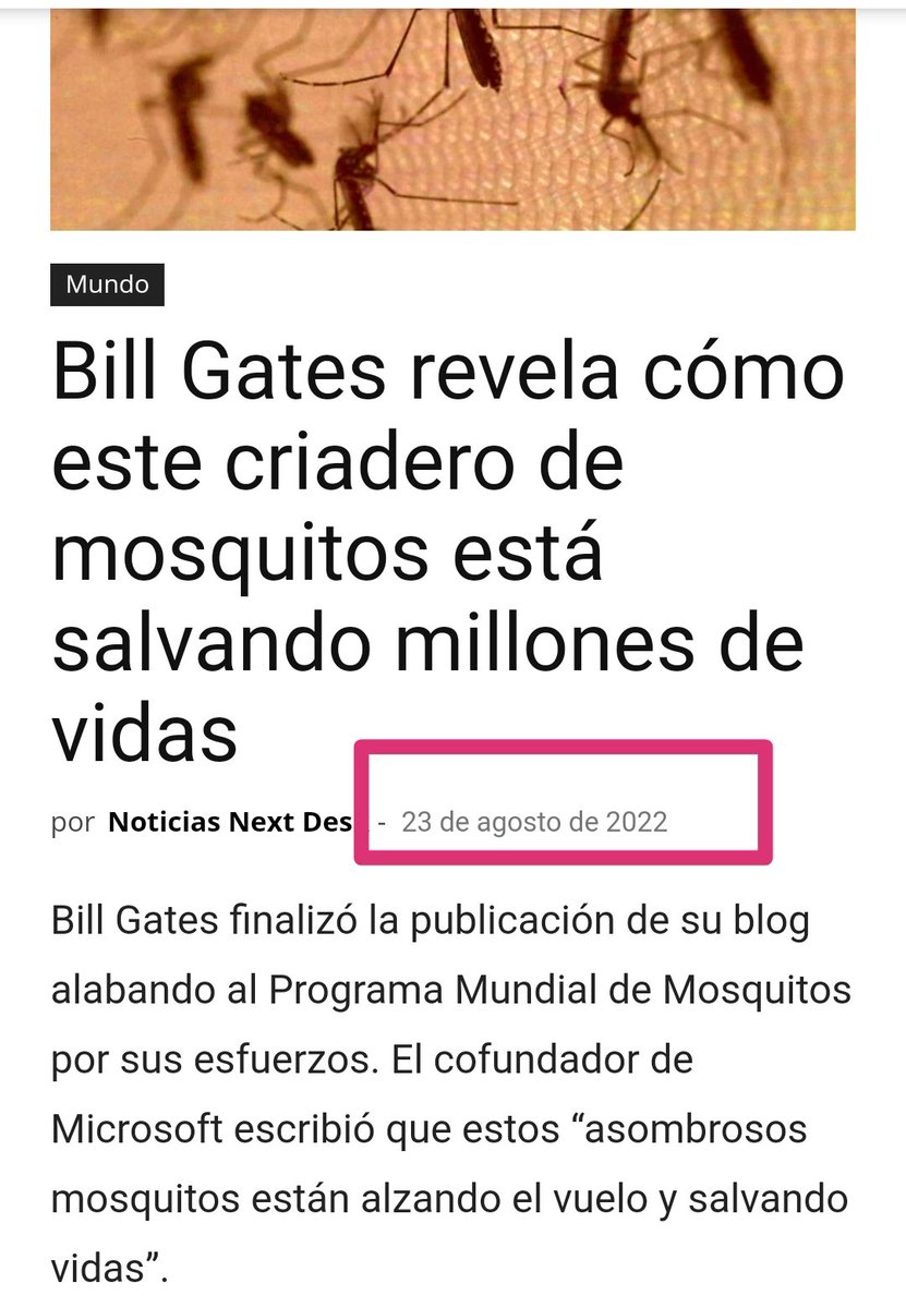 MatarAlpelicano tweet media