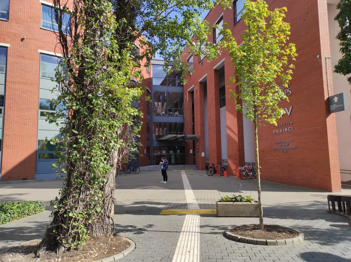 Collegium Da Vinci tweet media