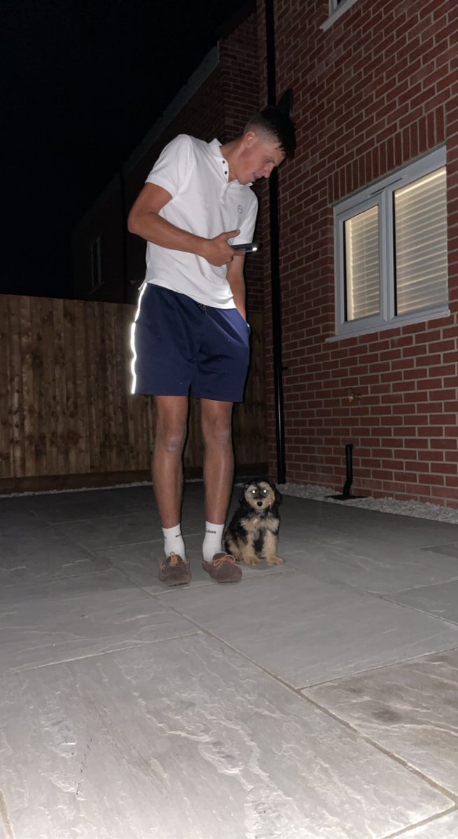 morgancave tweet media