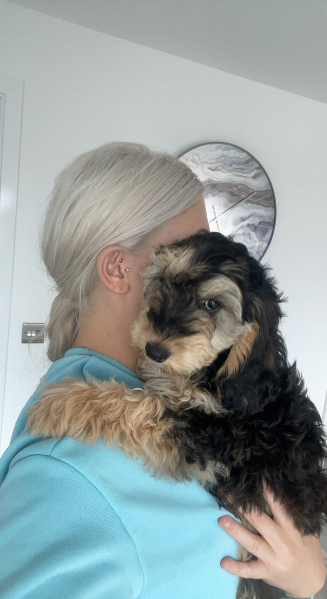 morgancave tweet media