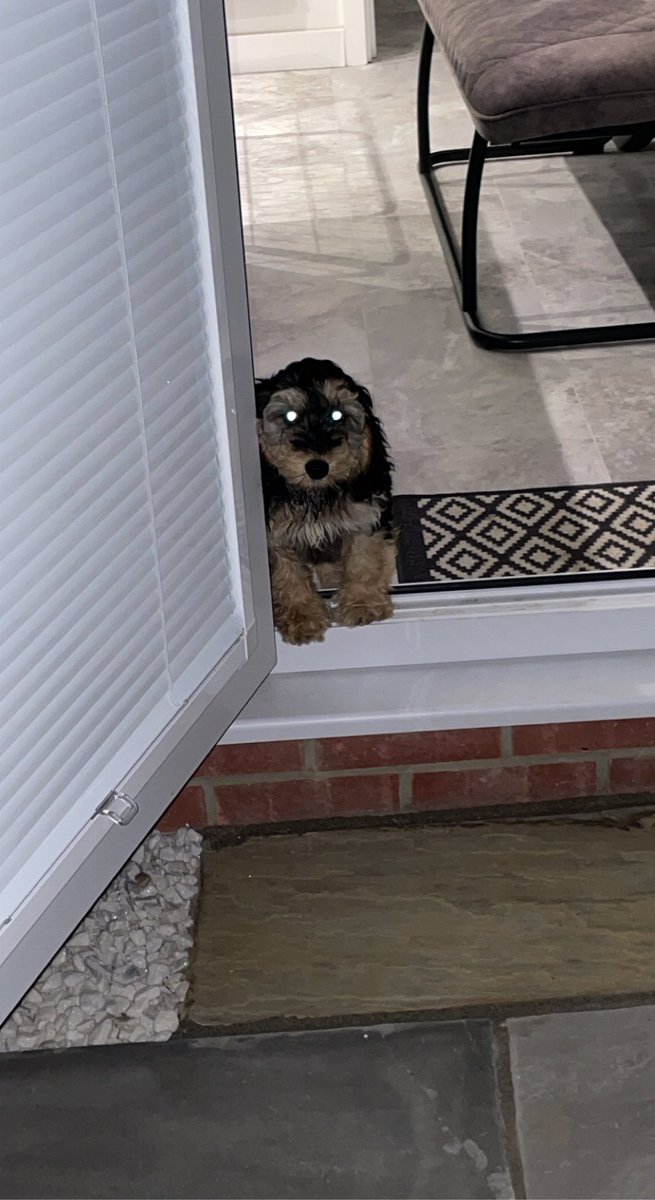 morgancave tweet media