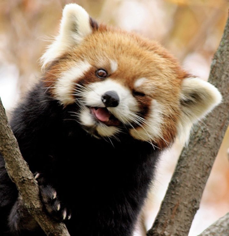 어이쿠 어느쪽이 정수지