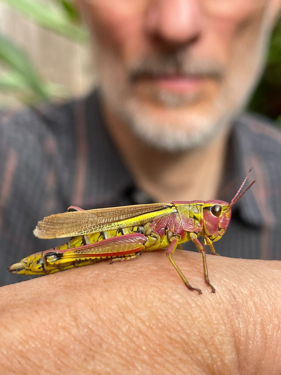 Dr Stuart Green 🇺🇦 tweet media