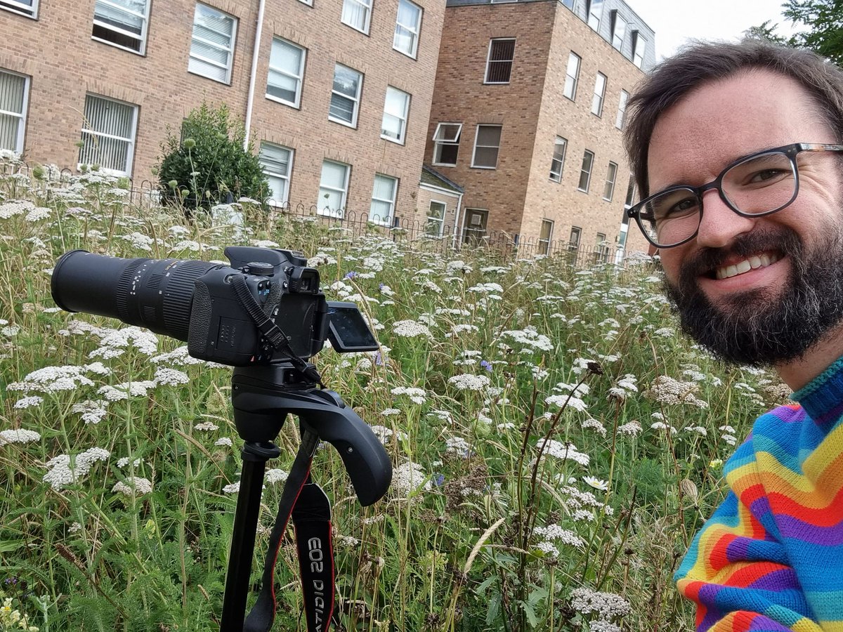 Been checking in to see what mini beasts have made their homes in the wild flowers outside of <a href="/wrexhamcbc/">Wrexham Council</a> buildings