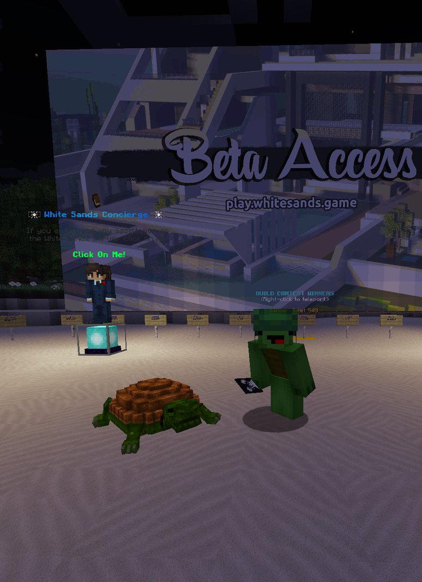 dan_spitzwieser's tweet photo. got my turtle pet inside @whitesandsgame :)

@nftworldsNFT $wrld https://t.co/A6cBr1PHxl