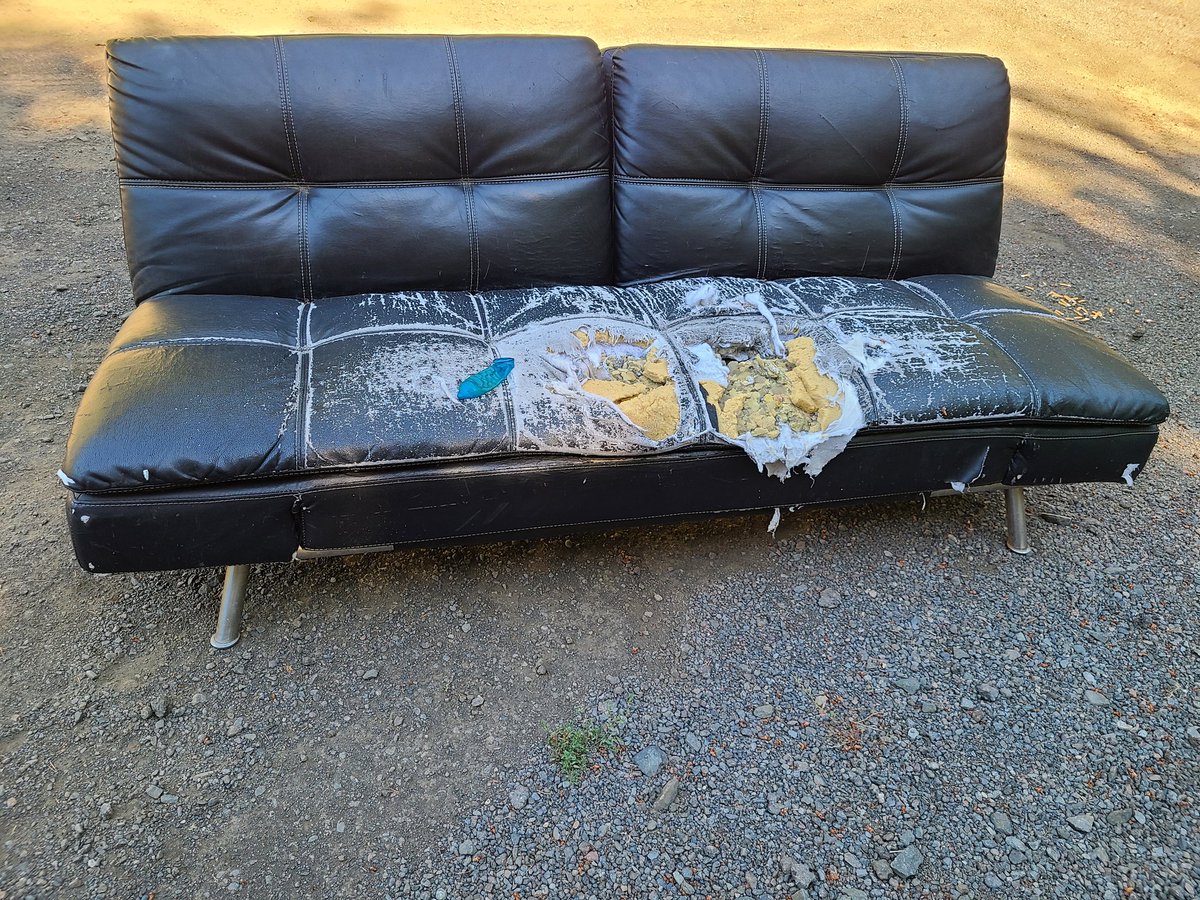 Here's one very well used and equally abandoned sleeper sofa. Don't just ditch your unwanted things, give them to the homeless.
