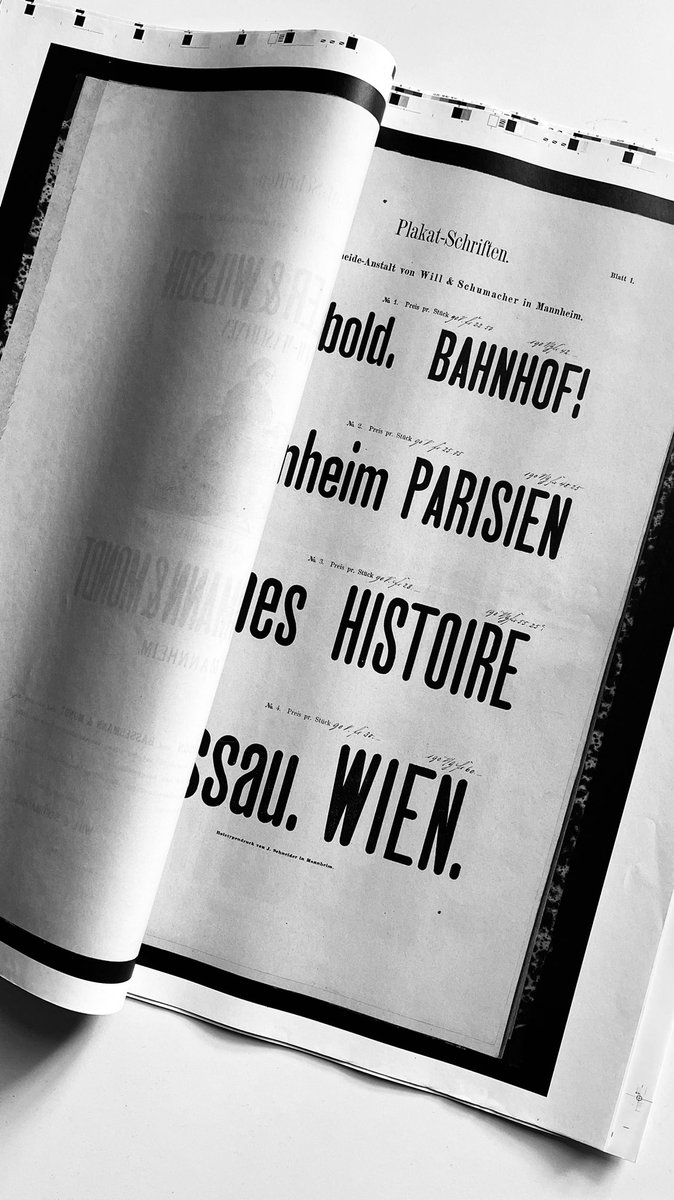 Tânia Raposo tweet media