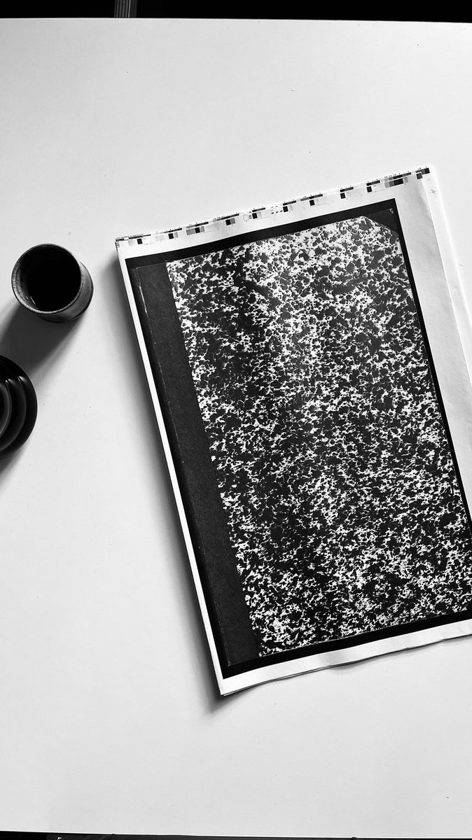 Tânia Raposo tweet media