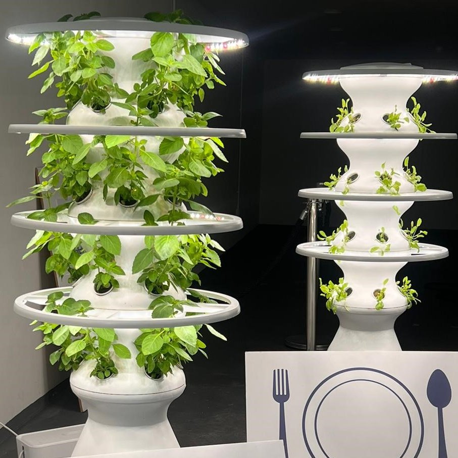 AF (The AF Group) tweet media