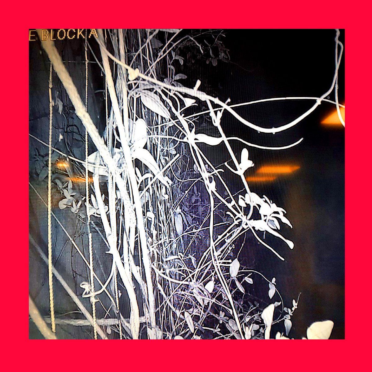 TheSoapCompany2's tweet photo. The Soap Company - "Creative Looting In Times Of Austerity"
A lot has happened since we last met. Our first new Album since '16.
Available NOW on Bandcamp &amp; Juno. (Streaming links coming soon).
Everything you need to know right HERE:
https://t.co/E7irc9YuMg https://t.co/qvf9728vhf