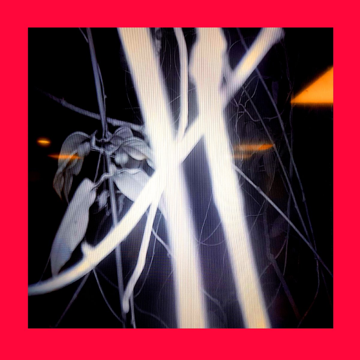 TheSoapCompany2's tweet photo. The Soap Company - "Creative Looting In Times Of Austerity"
A lot has happened since we last met. Our first new Album since '16.
Available NOW on Bandcamp &amp; Juno. (Streaming links coming soon).
Everything you need to know right HERE:
https://t.co/E7irc9YuMg https://t.co/qvf9728vhf