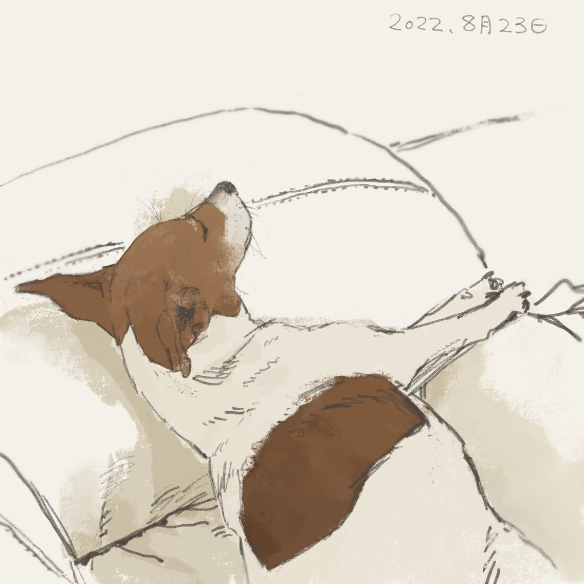 「ソファーで昼寝するちゃんクー 」|タカヒロのイラスト