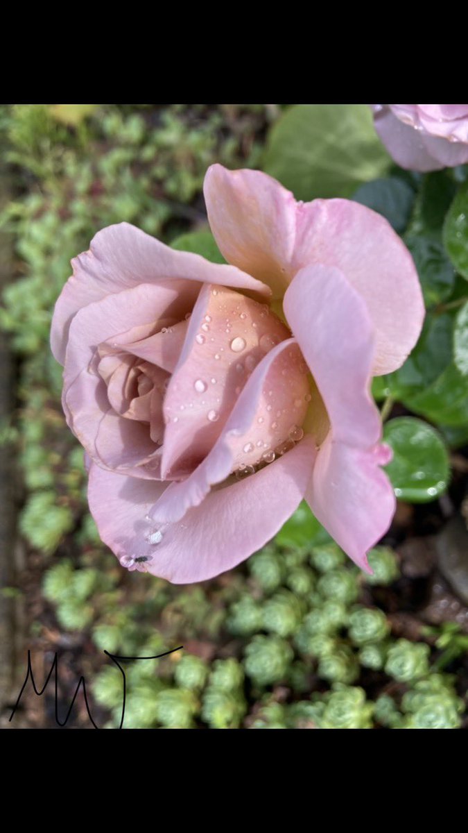 Gib, aber lass dich nicht ausnutzen. Liebe, aber lass dein Herz nicht missbrauchen. Vertraue, aber sei nicht naiv. Höre zu, aber verliere nicht deine eigene Stimme. 💕