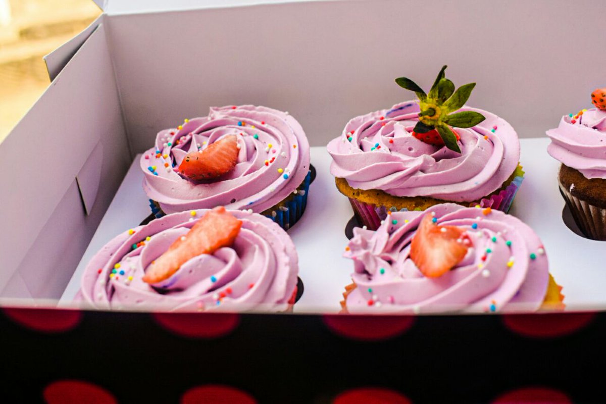 archelscakes's tweet photo. Someone who loves oreo cupcakes? we got you this Cupcakes Terrific https://t.co/d5al8fatF4 PACK OF 12 GET PACK OF 6 FREE #cupcakesofinstagram #Archelscakes #archelscupcakesterrificthursday 
#cupcakesThursday 
#CupCakes https://t.co/OUTG2FGaQh