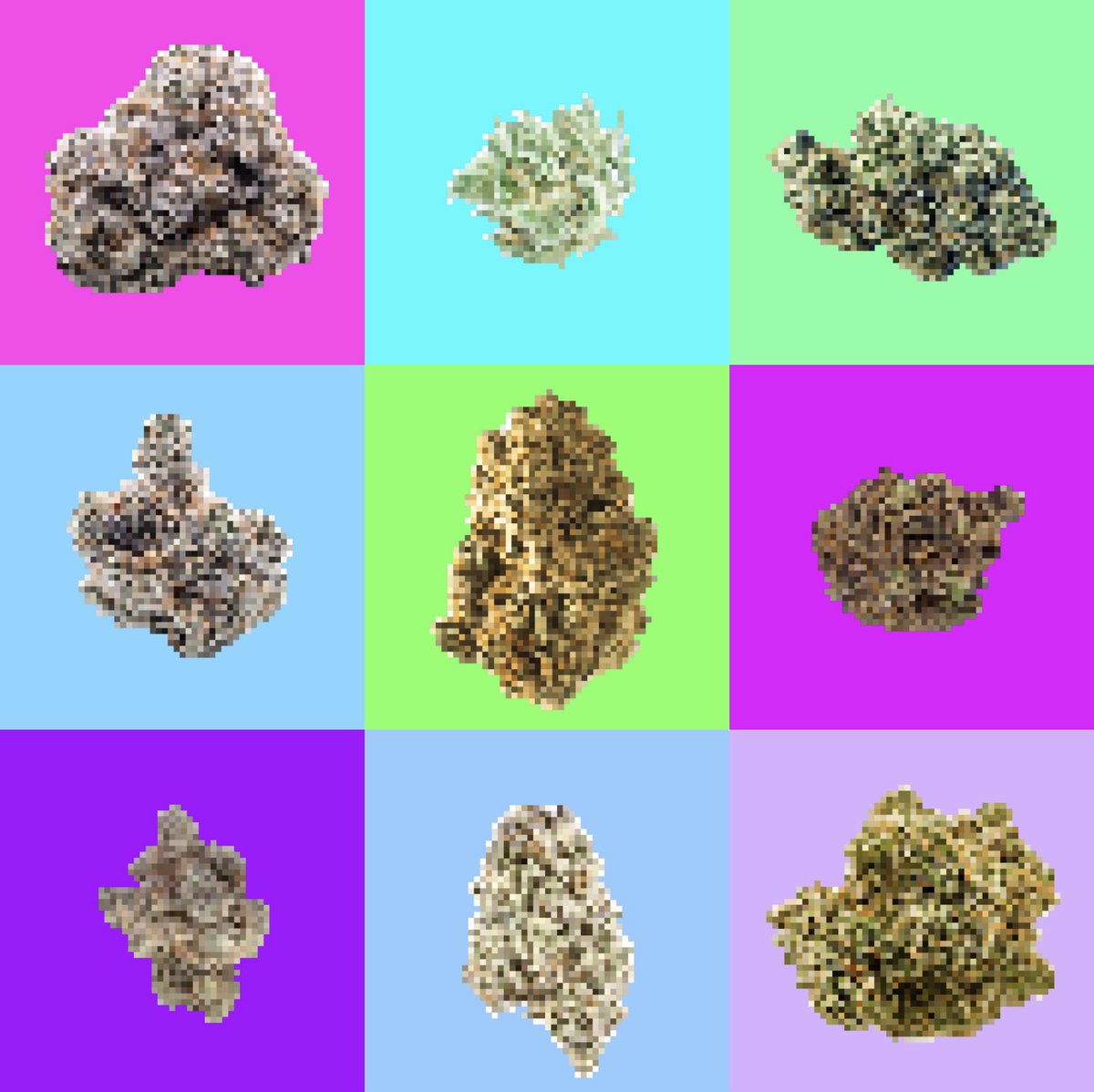 NugFactoryNFT's tweet photo. Nug Factory #1-9 🔥🌿✨
Available on @opensea
0.00420 😎 $ETH 

https://t.co/6lTzqDT8vx

#nfts #nftart #NFTCommunity https://t.co/OGZQUXdHUK
