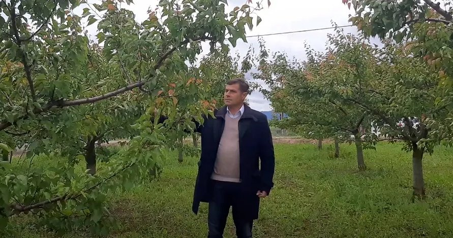 agroklubrs's tweet photo. Sivo tržište rasadničarstva u Srbiji: Kupiš jedno - dobiješ drugo? #sadnice #voće #rasadnici https://t.co/OHJvxXQnNg https://t.co/rXFau065Tr
