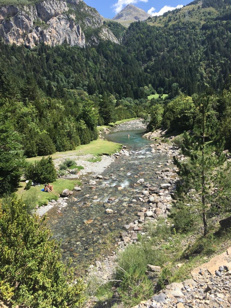 Flor De Ylang tweet media