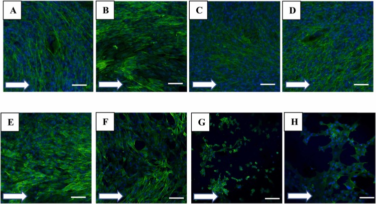 BioMaterials Group tweet media