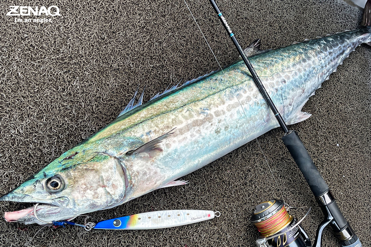 ゼナック ブラックフィン DB-S116(RG)