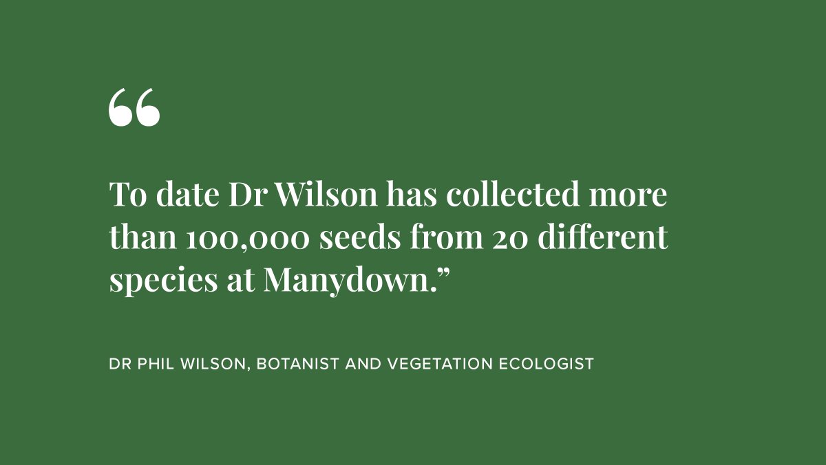 ManydownLife's tweet photo. Dr Wilson started the #seedcollection programme in 2015 &amp; has been working with the Manydown Partnership. The seeds are stored at the millennium seed bank at @kewgardens &amp; will help establish the arable plant reserve in the new countryside park #Manydown.
https://t.co/8RnQ1stXOi https://t.co/Cq1w8xYppS