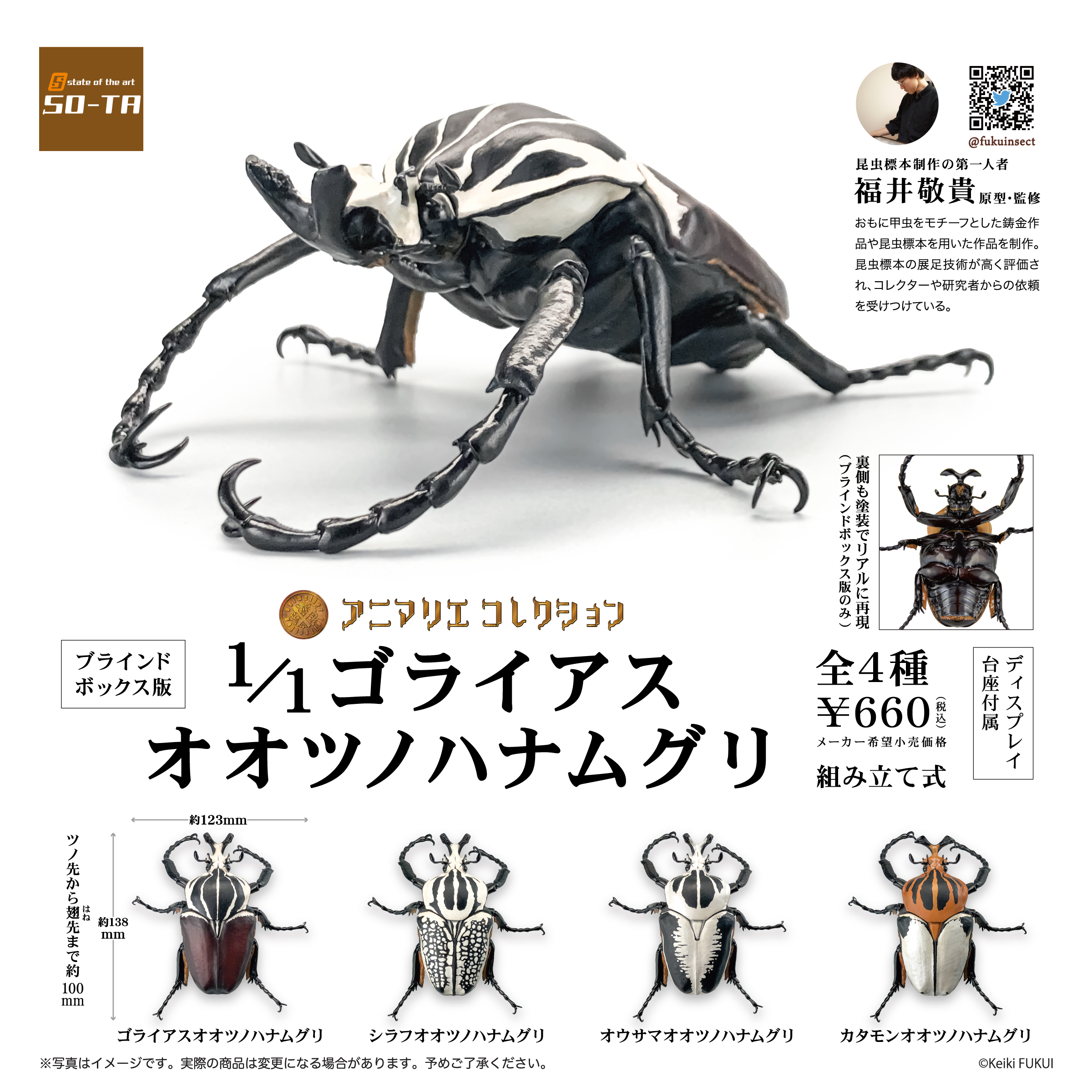 コンゴ産　オリエンタリスオオツノハナムグリ 3　93mm コンゴ産 オリエンタリスオオツノハナムグリ 3 93mm コンゴ産