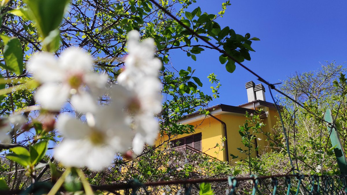 italyaesthetic's tweet photo. #photofocus #Italy #Italia #nature #natura #mountains #montagne #Umbria #sky #cielo #clouds #nuvole #blueaesthetic #flowers #fiori #relax #viral #foryou #natureaesthetic #photographer #foto #photography #photo #travel #world #life #live #aesthetic https://t.co/pzqqVPWS36