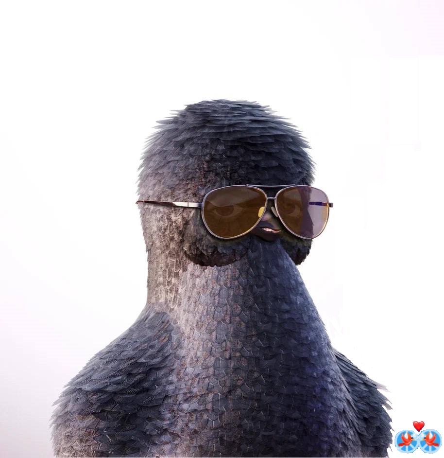 AuroraDoves tweet media