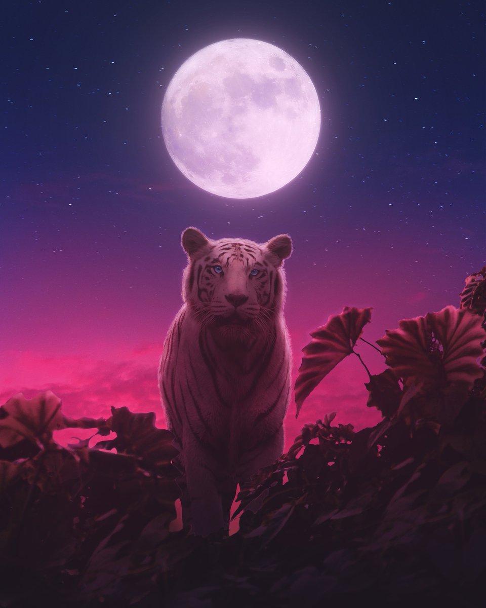 Hey everyone these 4 artworks are available on my <a href="/foundation/">Foundation 🌐</a> 
-
"MISTY RAIN"
Reserve : 0.15 $ETH
Buy Now : 0.25 $ETH
//
"Boundless Love"
Reserve : 0.15 $ETH
Buy Now : 0.2 $ETH
//
"天堂"
Buy now : 0.15 $ETH
Reserve : 0.2 $ETH
//
"CRIMSON BEAST"
Buy now : 0.15 $ETH
Reserve : 0.2