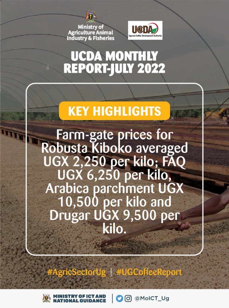 DMU_Uganda's tweet photo. To increase production and quality of coffee traded, a total of 80 coffee farmer trainings were conducted across the country attended by 2,172 farmers (1,620 male, 552 female & 217 youth). 240 farm visits reaching 1,062 farmers.
#AgricSectorUg #UGCoffeeReport https://t.co/CmvvM69h5m